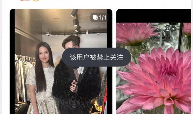 报应来得太快！终于知道李湘为啥被封了，这瓜不简单！