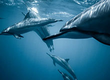 开云下载-久诚官宣重回Hero久竞：这一次，我想活成我自己